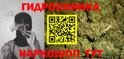 прущие грибы Первоуральск