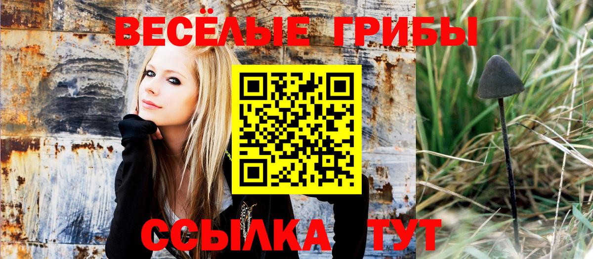Ставрополь  Псилоцибиновые грибы GOLDEN TEACHER  Псилоцибиновые грибы MAGIC MUSHROOMS  Вход с VPN 